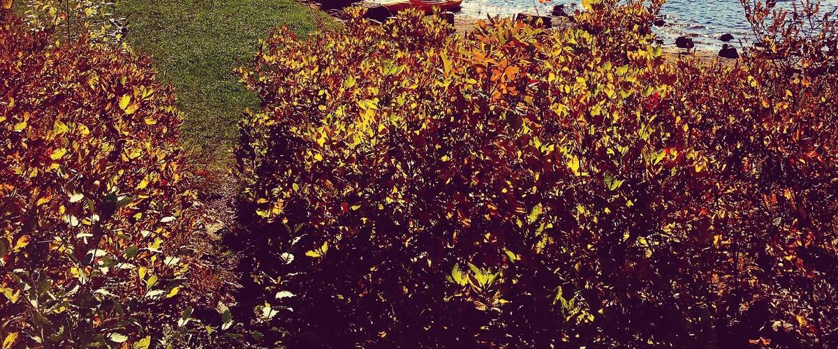 Crater lake &blue mountain lake; New Jersey birding&wildlife trails.sparking water and scenic overlooks