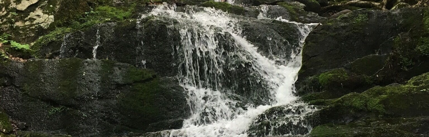 Roadside on the NJ side of the Delaware Water Gap