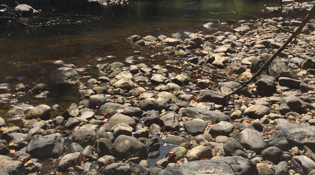 Bout to set up to fish for trout under the bridge!