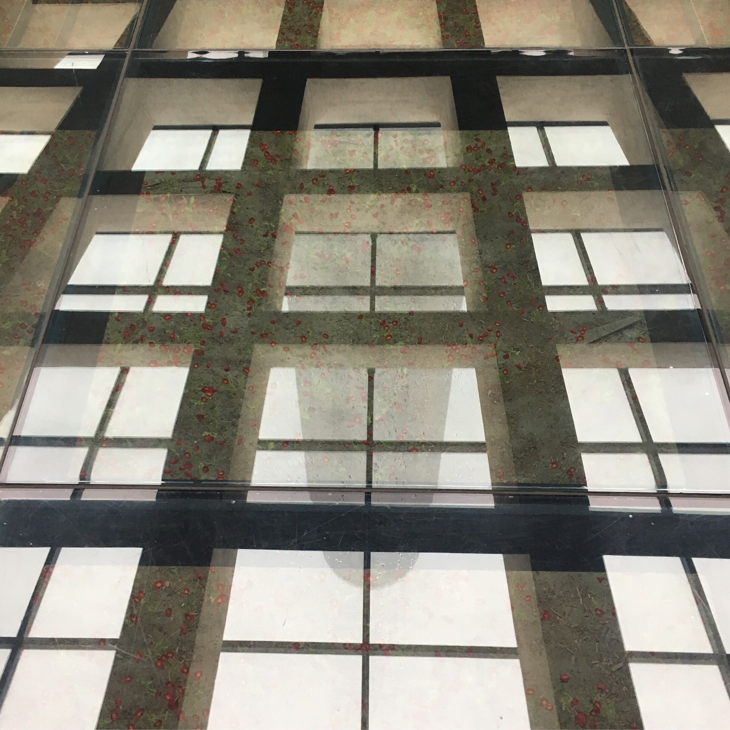 In Flanders fields...

#museum #exhibition