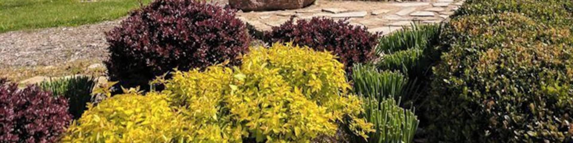 I went back in time today.