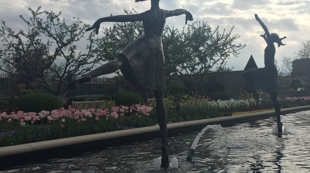 A quiet little garden perfect for a warm afternoon.