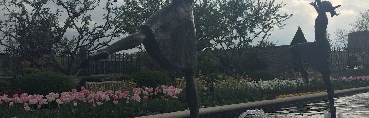 A quiet little garden perfect for a warm afternoon.