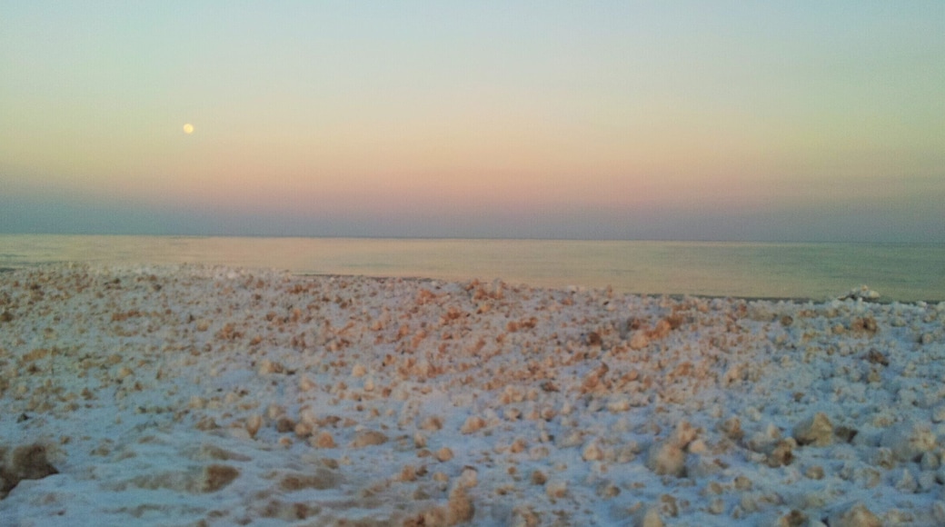 Lake Michigan in February #snow