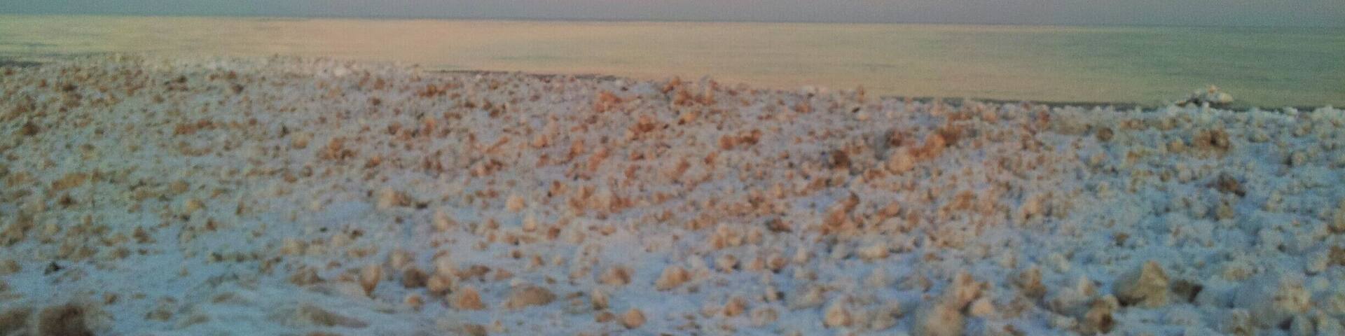 Lake Michigan in February #snow