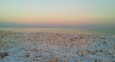 Lake Michigan in February #snow