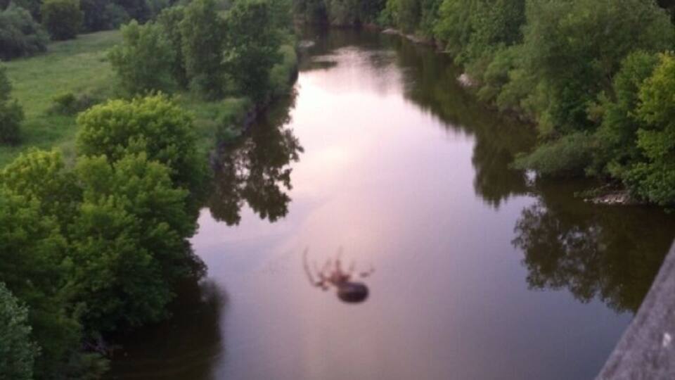 A river surrounded by dense greenery and trees.