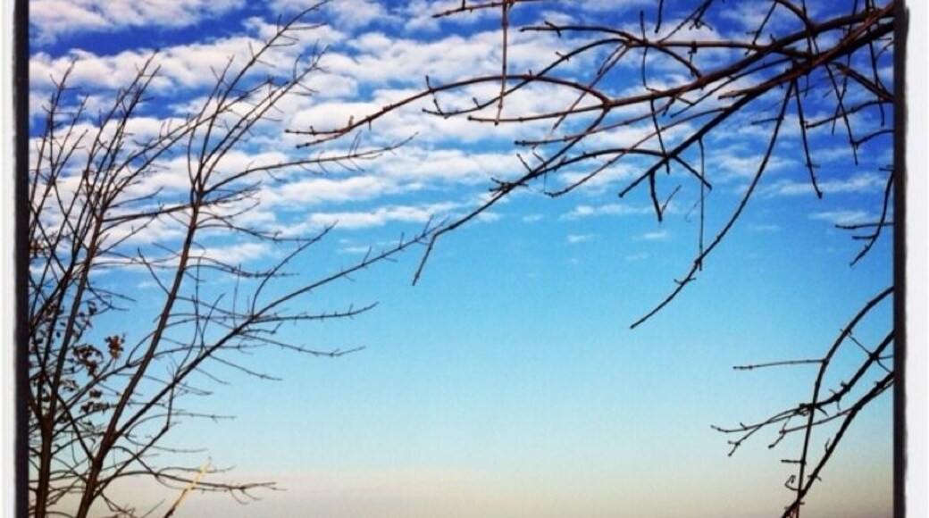My chill spot @ the Lake.