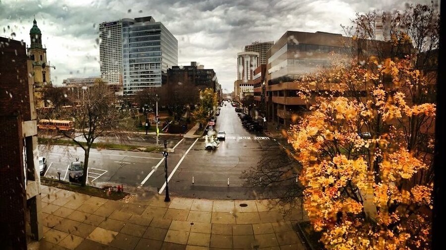 Home of Jazz in the Park as well as Christmas Tree displays from Community Schools.