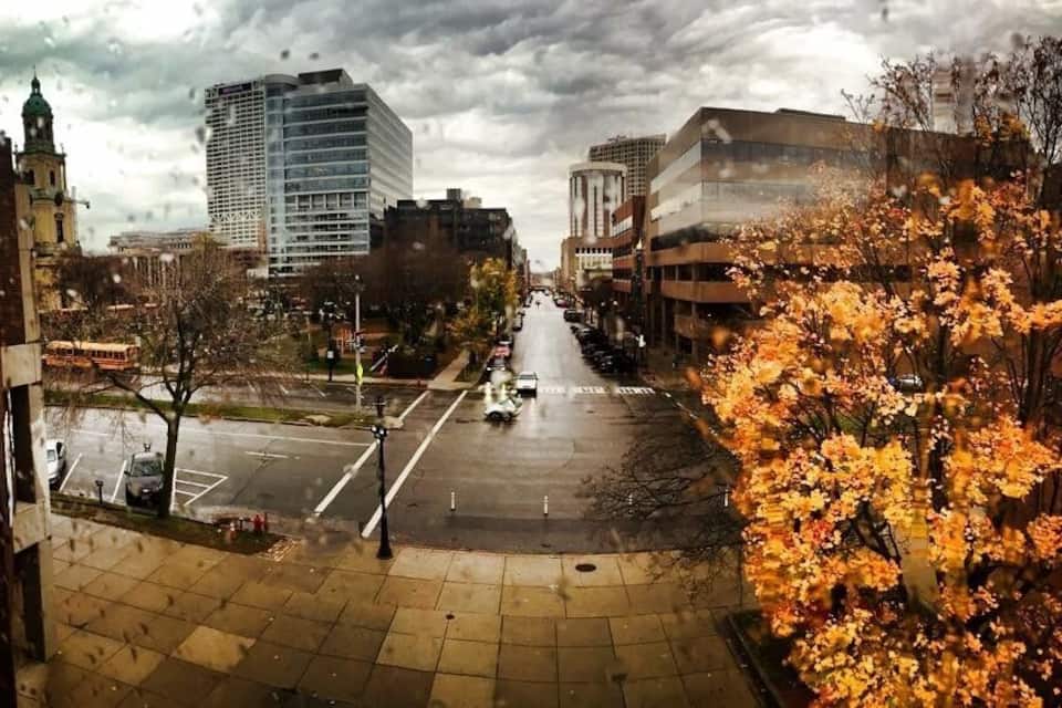 A city street with autumn foliage, buildings, and a bus stop.