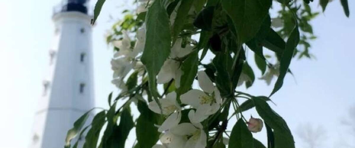 #LoveMyTown because of the beautiful parks! Milwaukee has so many beautiful parks in the city that are great for exploring or just sitting back to relax.