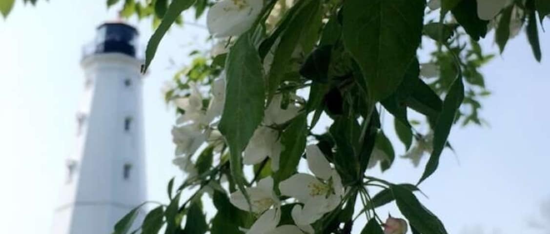 #LoveMyTown because of the beautiful parks! Milwaukee has so many beautiful parks in the city that are great for exploring or just sitting back to relax.