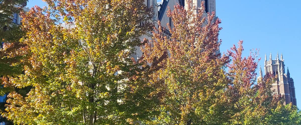 A beautiful fall day at the University of Marquette