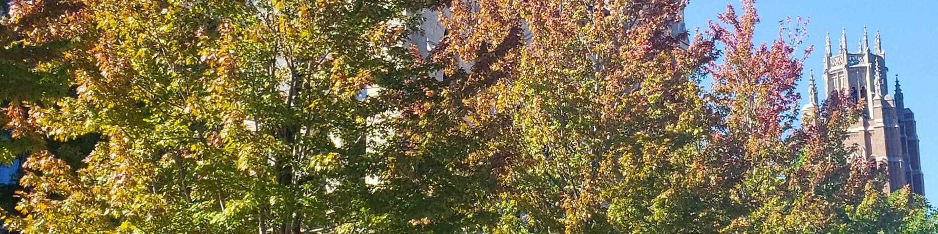 A beautiful fall day at the University of Marquette