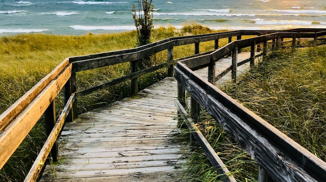 We run for the sunset like there won’t be one tomorrow.