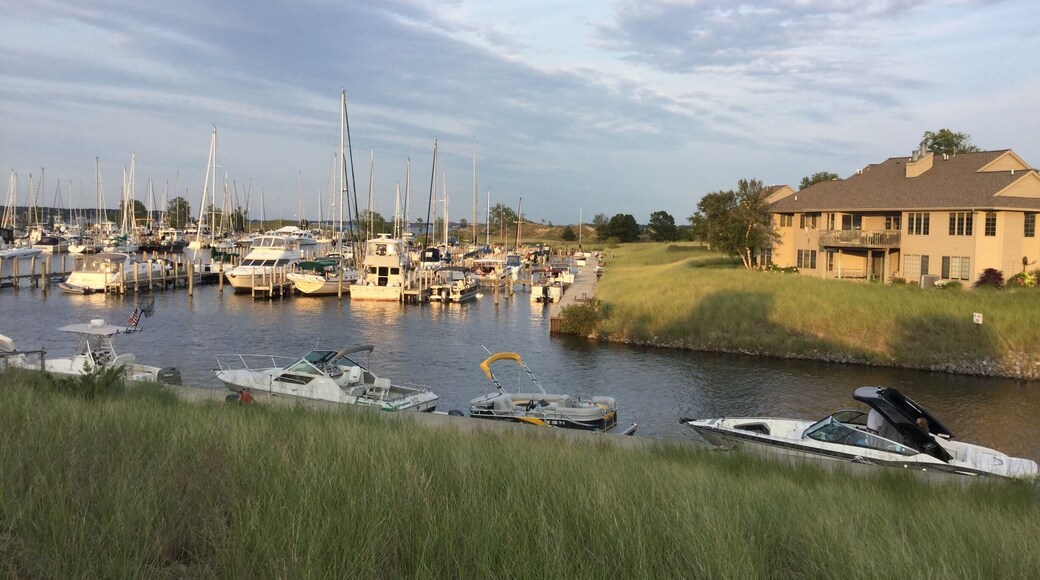 From Dockers fish house