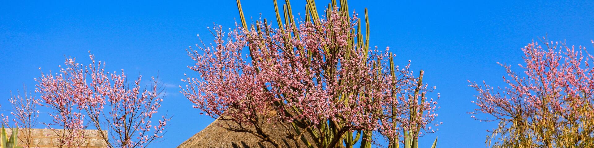Traditional hut in Malealea, Lesotho