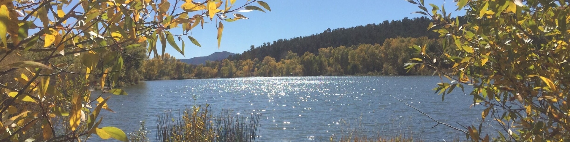 Monastery Lake, part of the adjacent originally Trappist abbey, is now voluntarily leased to the New Mexico Game & Fish Department by the current Benedictine order. Regularly stocked with trout, this lovely pond is also beautiful to walk around on the dirt trail that rings it.