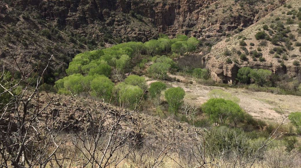 The San Francisco River winds through this bend. A 3.5 mile hike (round trip) drops you into the valley to play in numerous hot springs that feed into the river. Beautiful in the springtime!