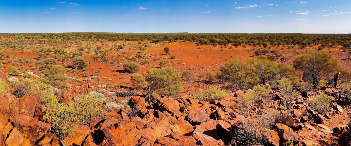 A vast red desert landscape with scattered green shrubs and a clear blue sky.