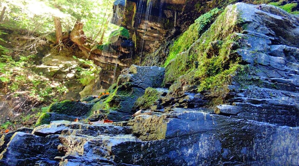 47-foot Yatesville Falls is also known as Buttermilk Falls.