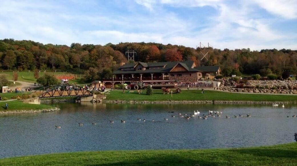 best daycation spot! grab a bite, hand feed the wildlife and check out all this incredible safari has to offer! you won't regret it!