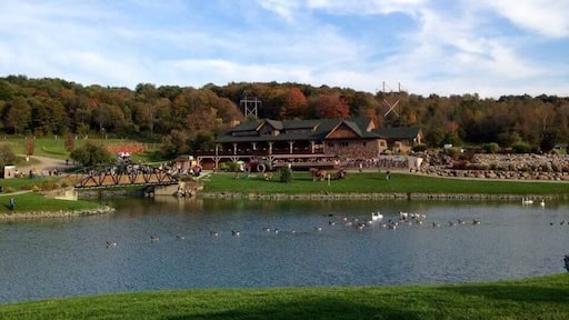 best daycation spot! grab a bite, hand feed the wildlife and check out all this incredible safari has to offer! you won't regret it!