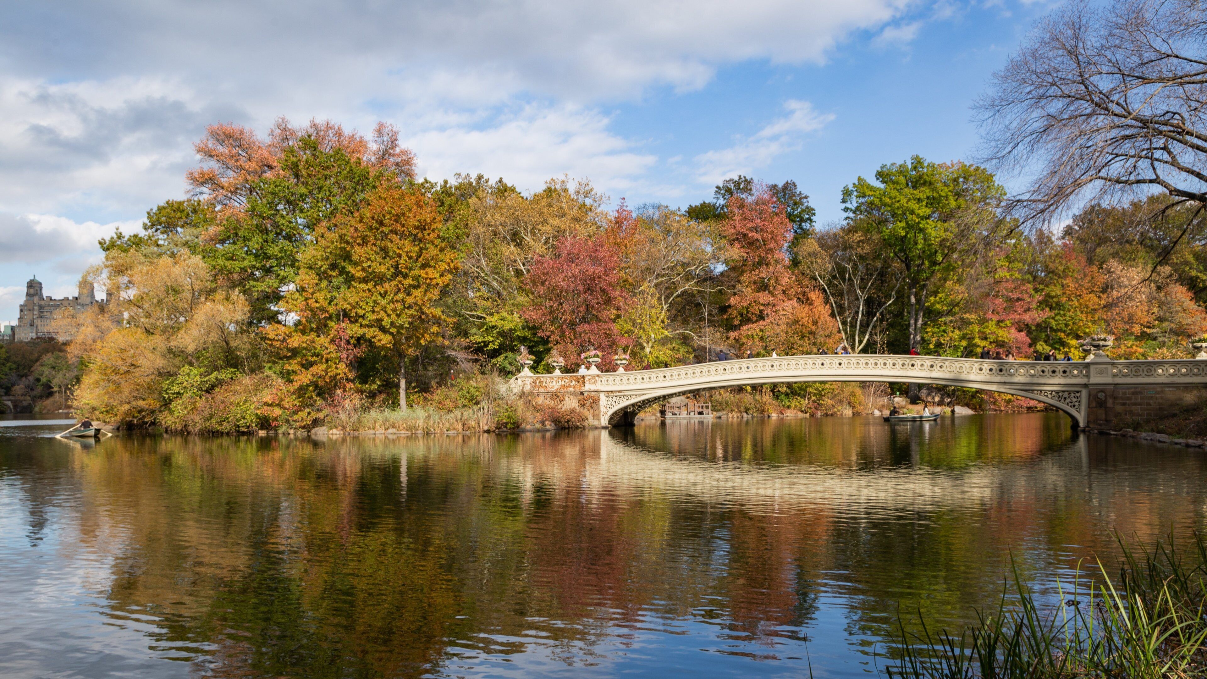 New York featuring autumn leaves, a bridge and a river or creek
