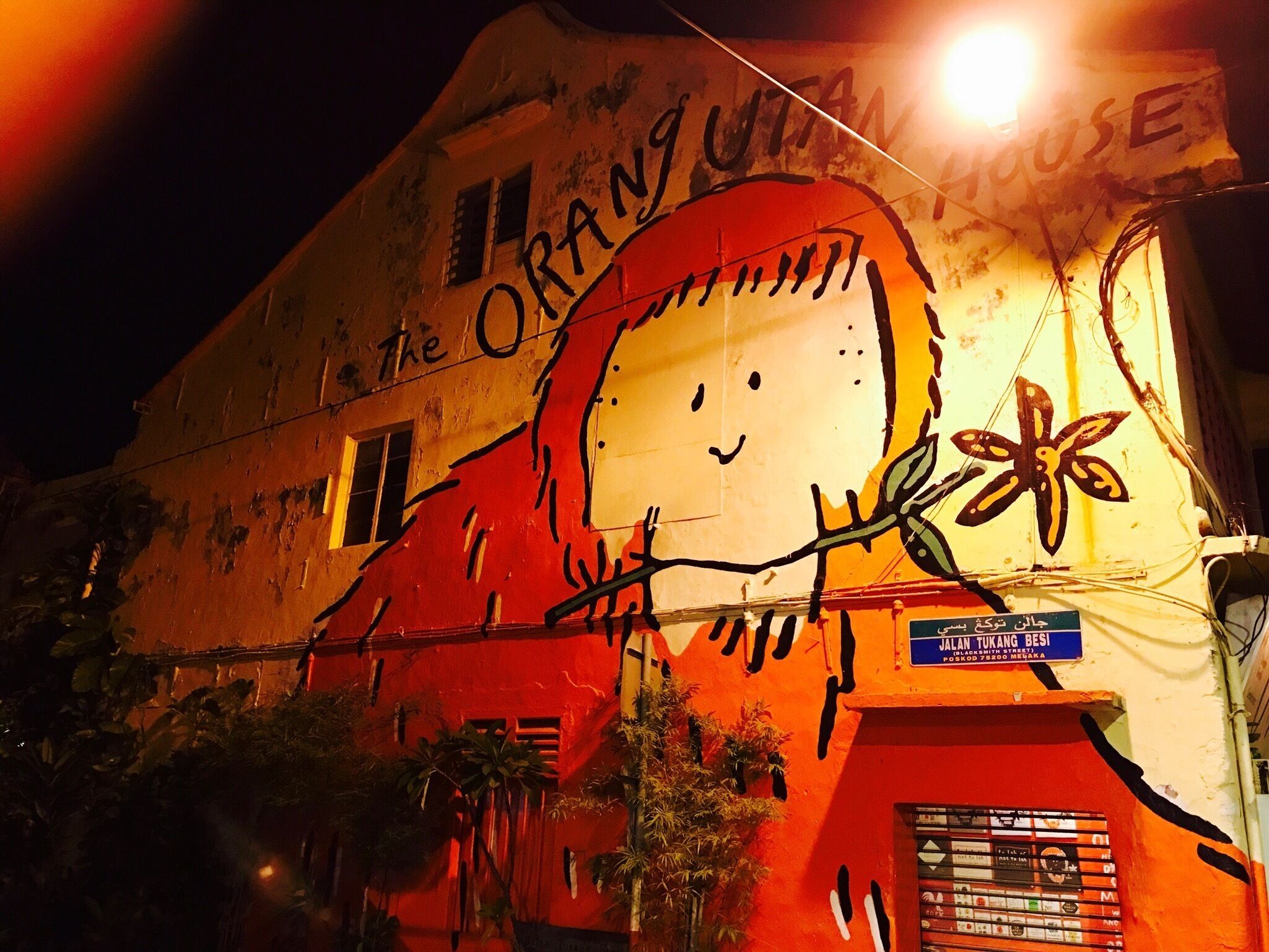 The world is a canvas: A few buildings like this, in Malacca were an artist's canvas...