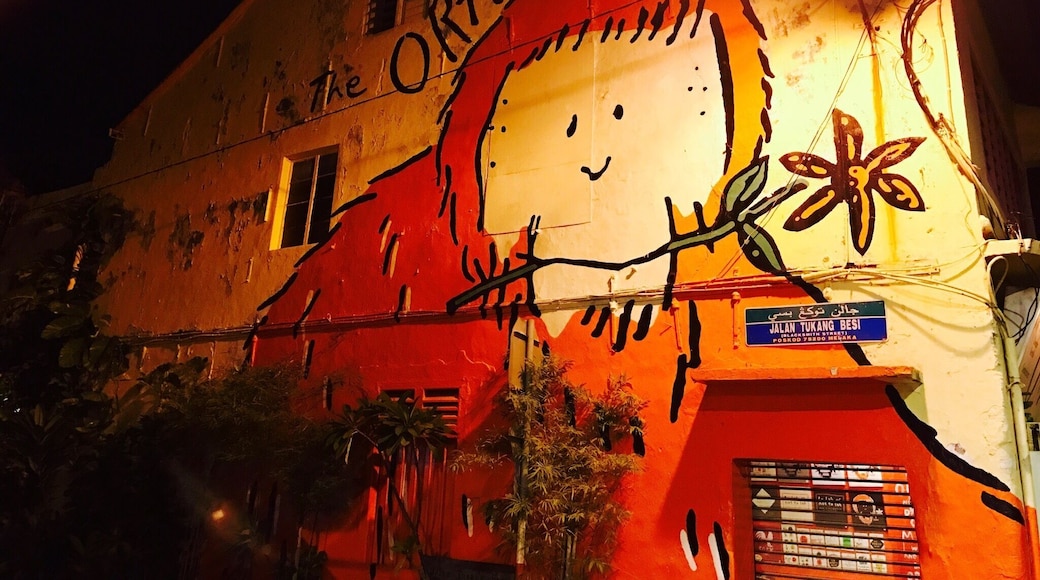 The world is a canvas: A few buildings like this, in Malacca were an artist's canvas...