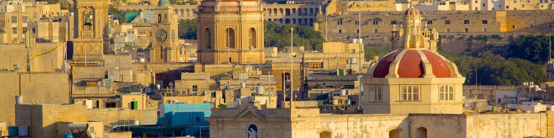 A cityscape with prominent domed buildings and a historic church.