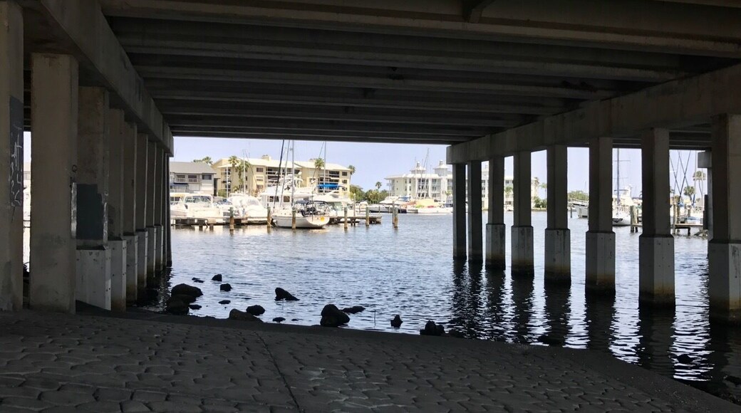 Looking for manatees
#Springfun