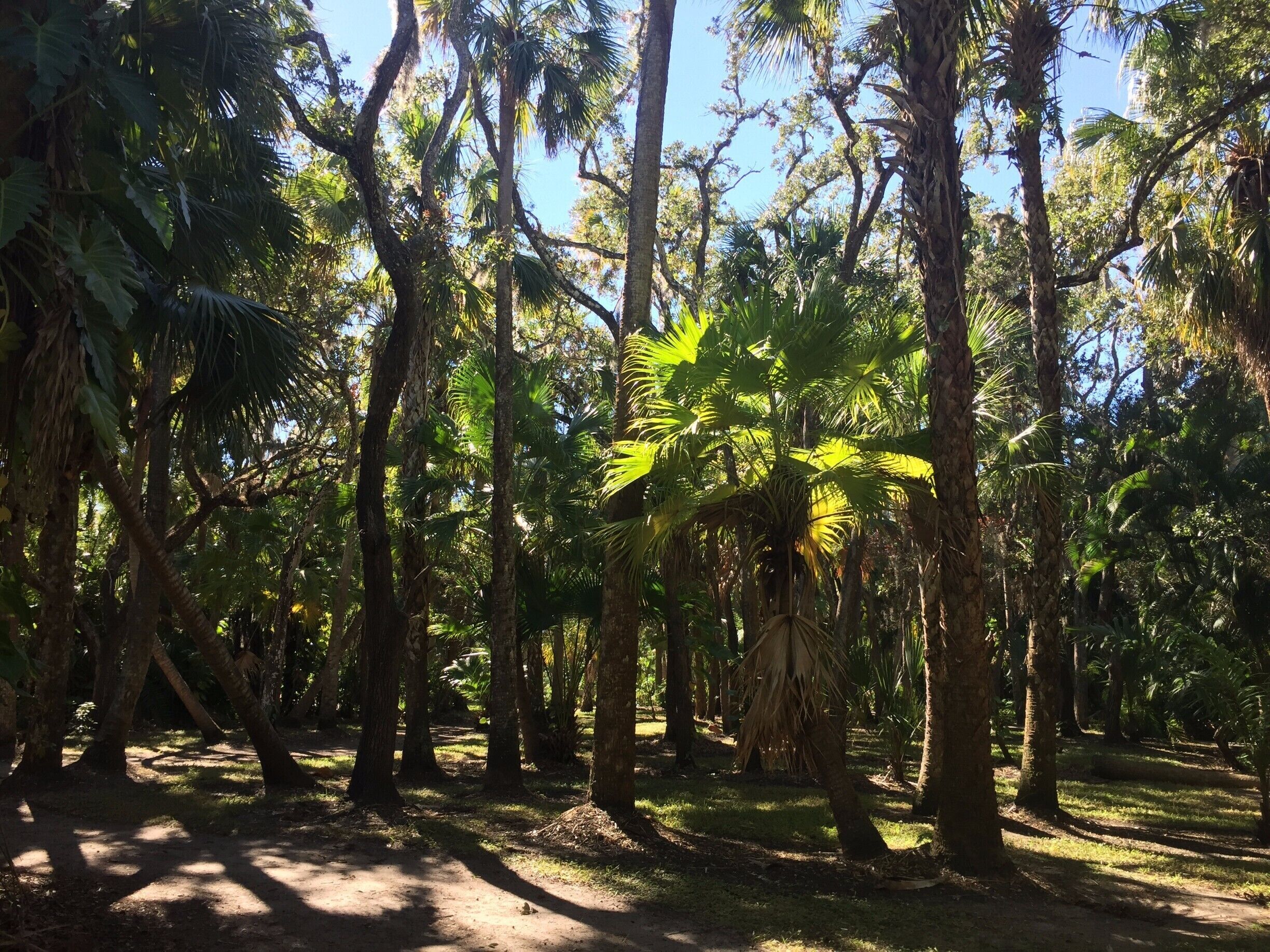 The botanical garden at Florida Institute of Technology
