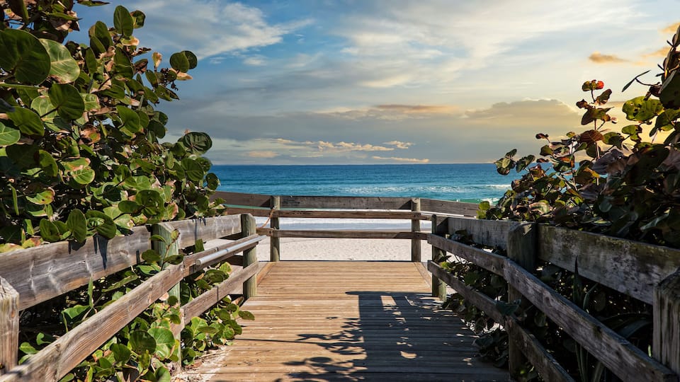 A wooden boardwalk leading to a beach with lush greenery on either side.