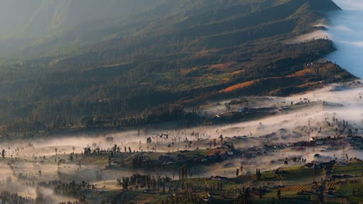Fog and Mist Oozing Into the Field next to smoking volcano Bromo