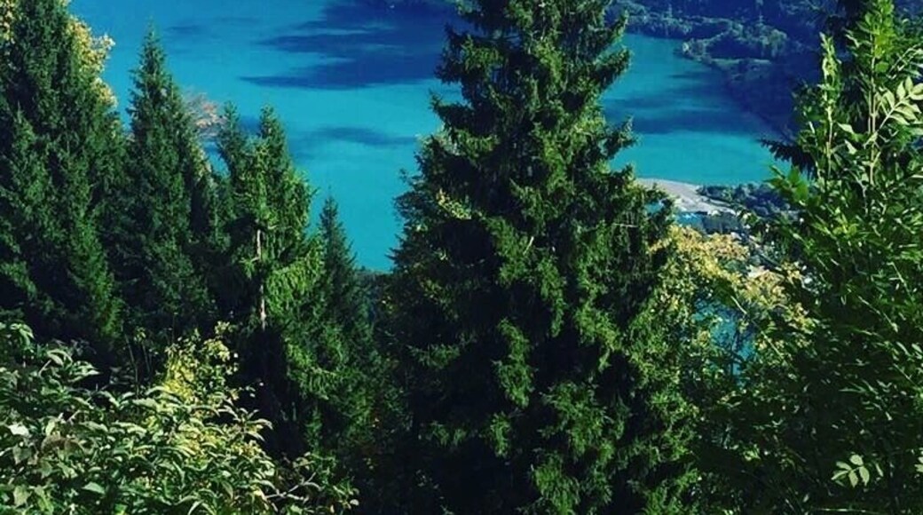 Beautiful day in Switzerland, interlaken