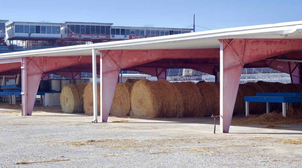 Although most of the stadium appear abandoned to age with the elements, it was made clear here that someone still made use of the pit to store hay bells and empty drums. Much of the structure of the speedway was worn and faded, telling of its age and neglect. But it was clear that it was still providing for someone, somewhere. #appalachianechoes