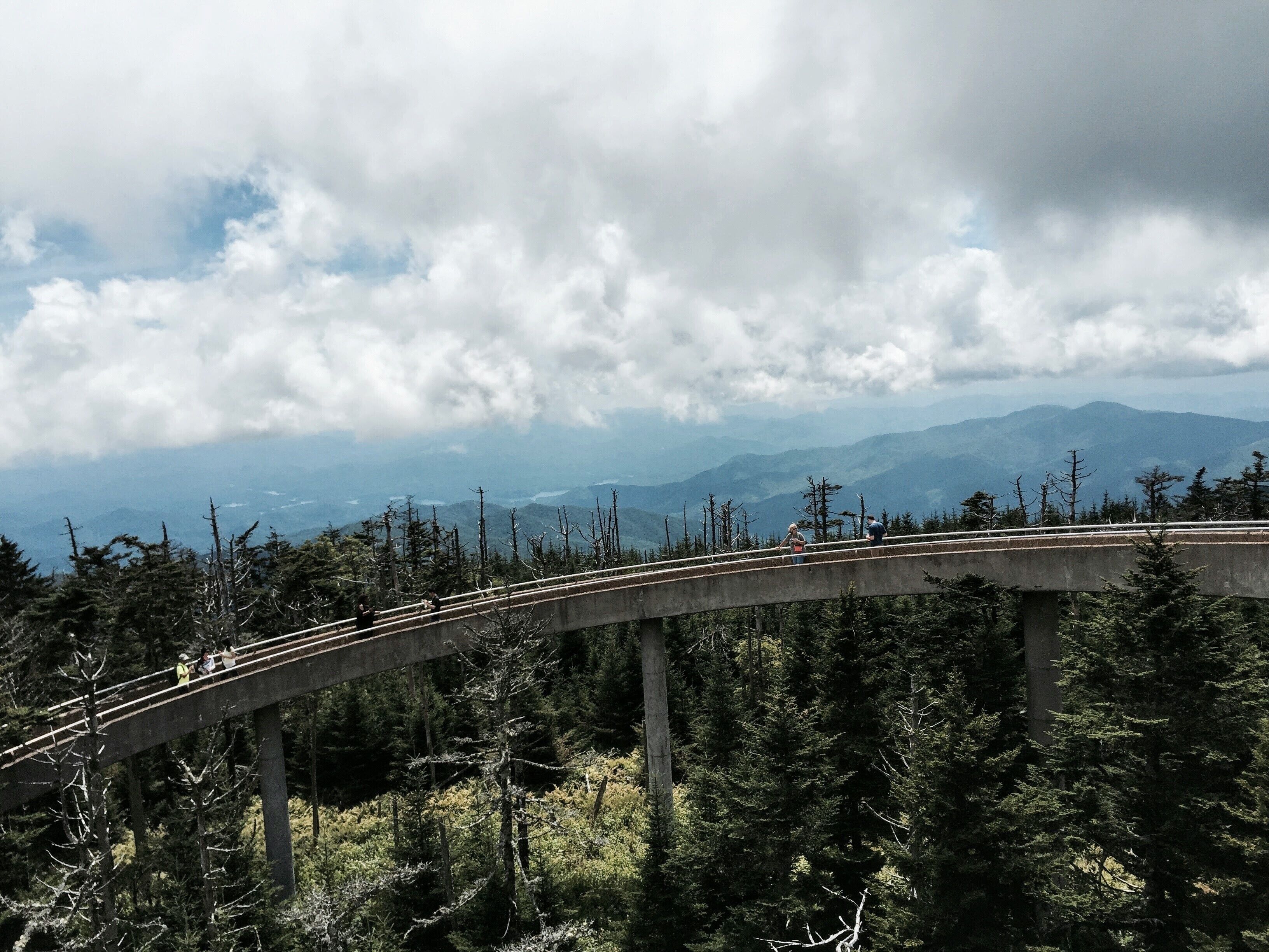 Clingmans Dome