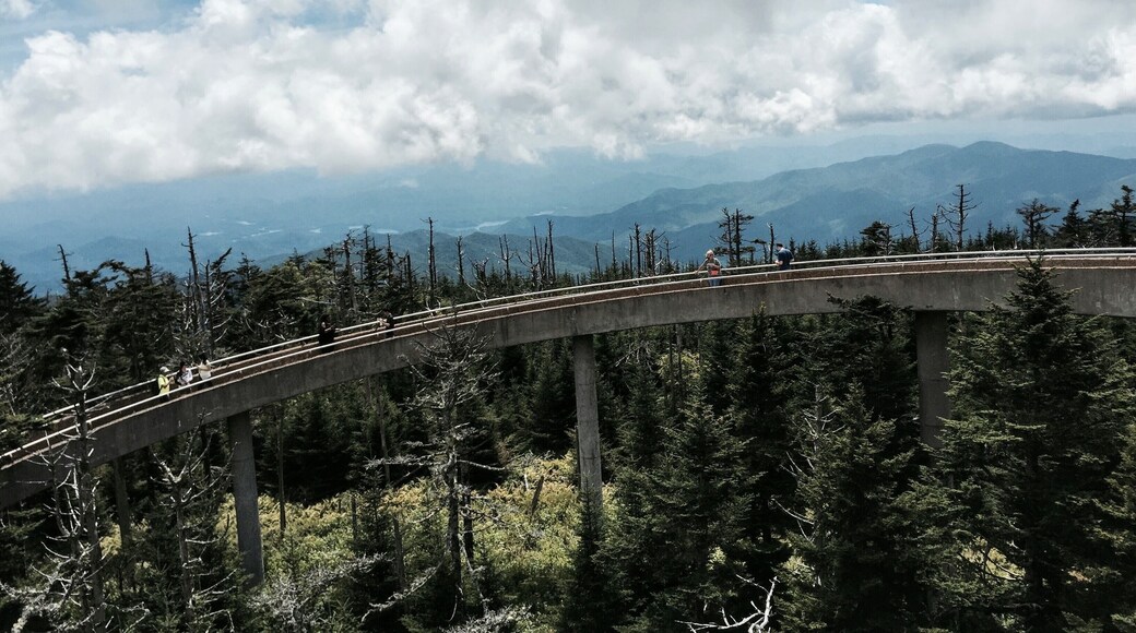 Clingmans Dome