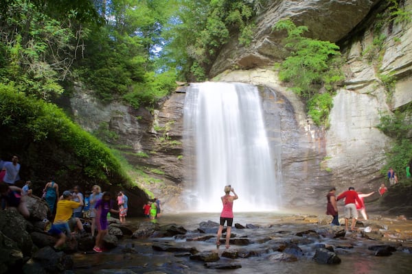 North Carolina showing forest scenes, a river or creek and a waterfall