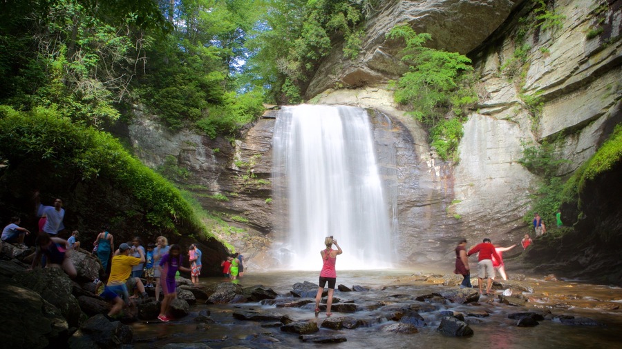 North Carolina which includes a river or creek, forest scenes and a cascade