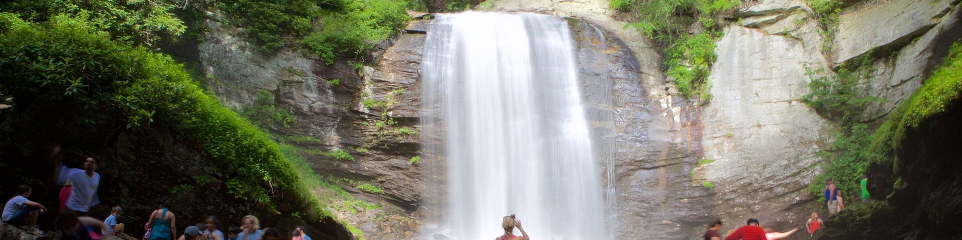 North Carolina showing forest scenes, a river or creek and a waterfall