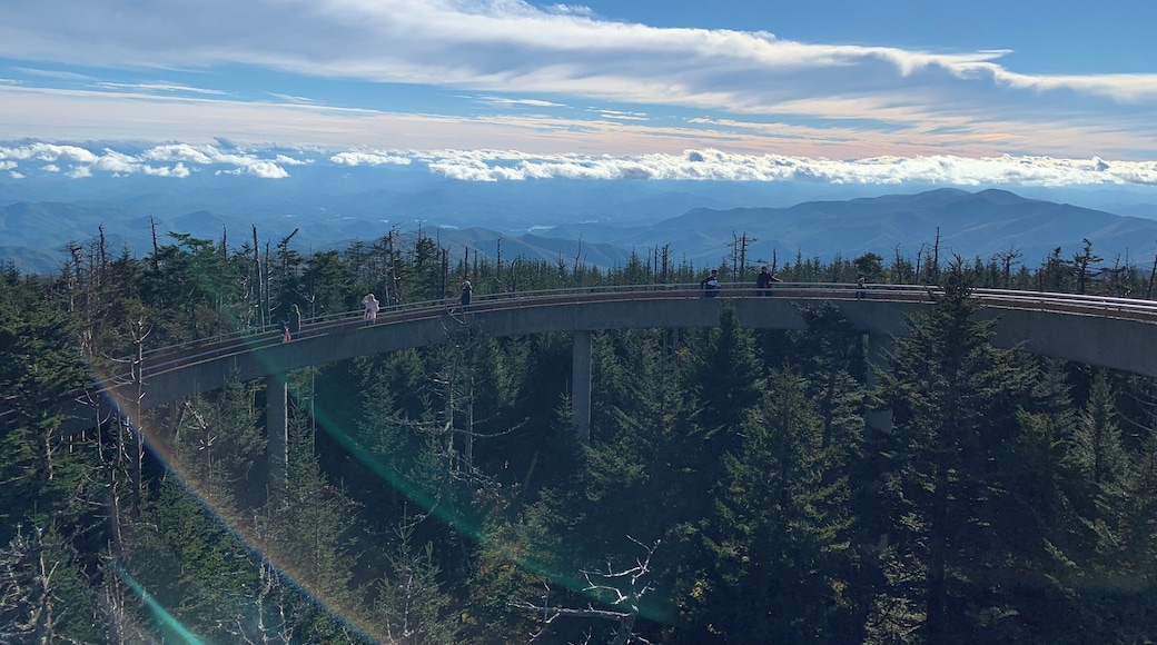 This is one short but such a steep hike.