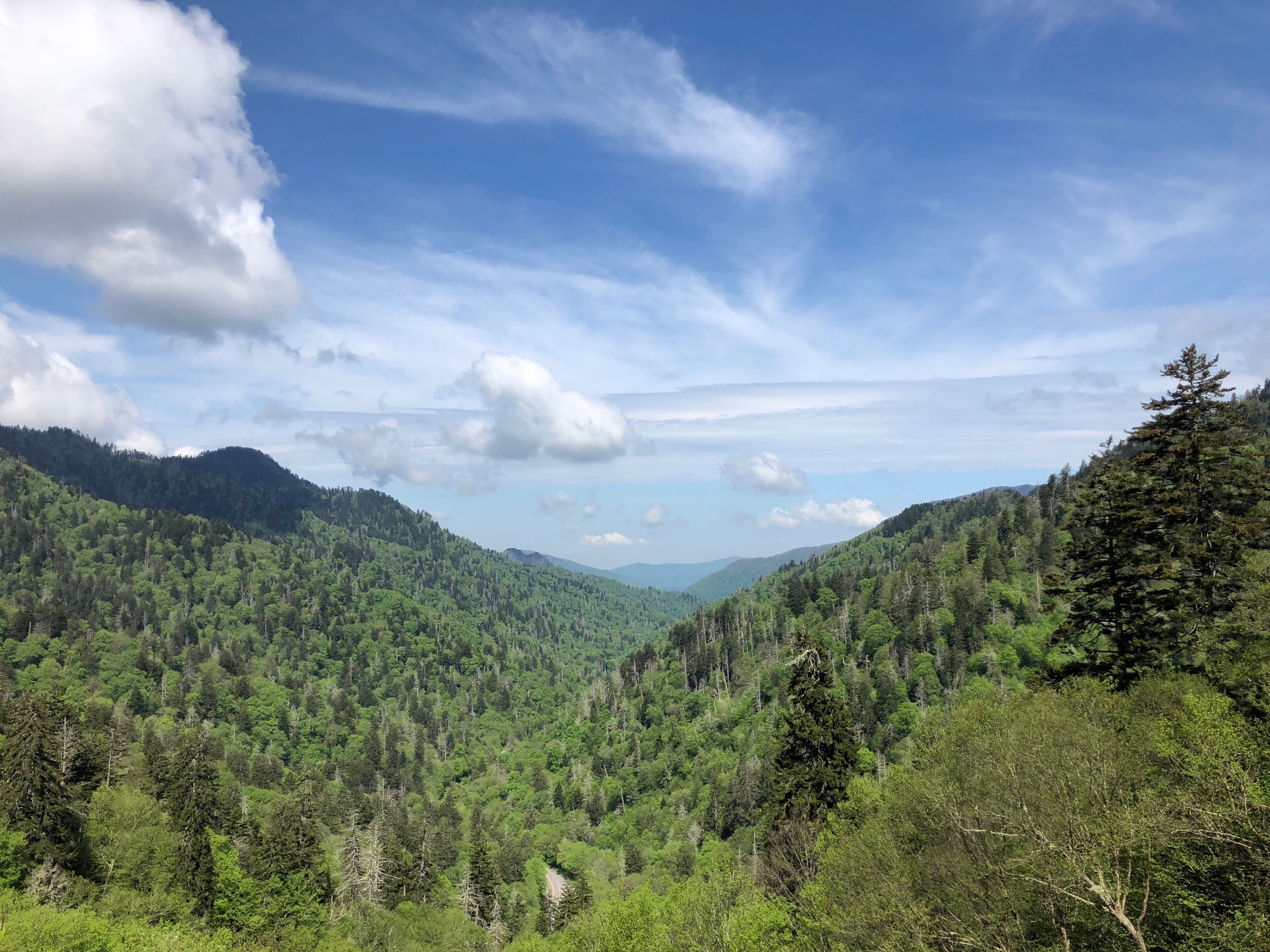 View from the parking lot before the 0.5 mile hike to Clingman's Dome. 