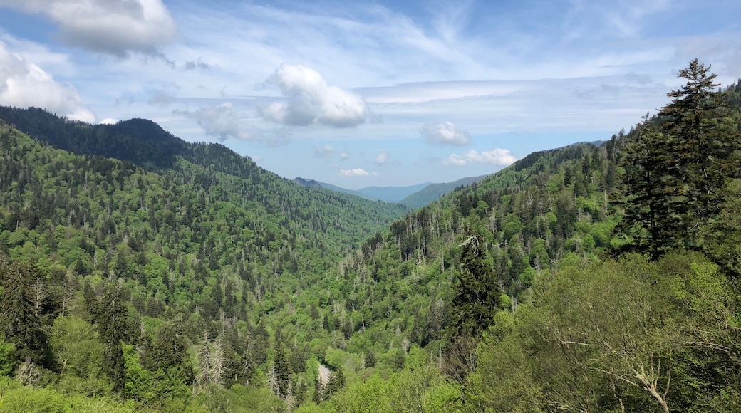 View from the parking lot before the 0.5 mile hike to Clingman's Dome.