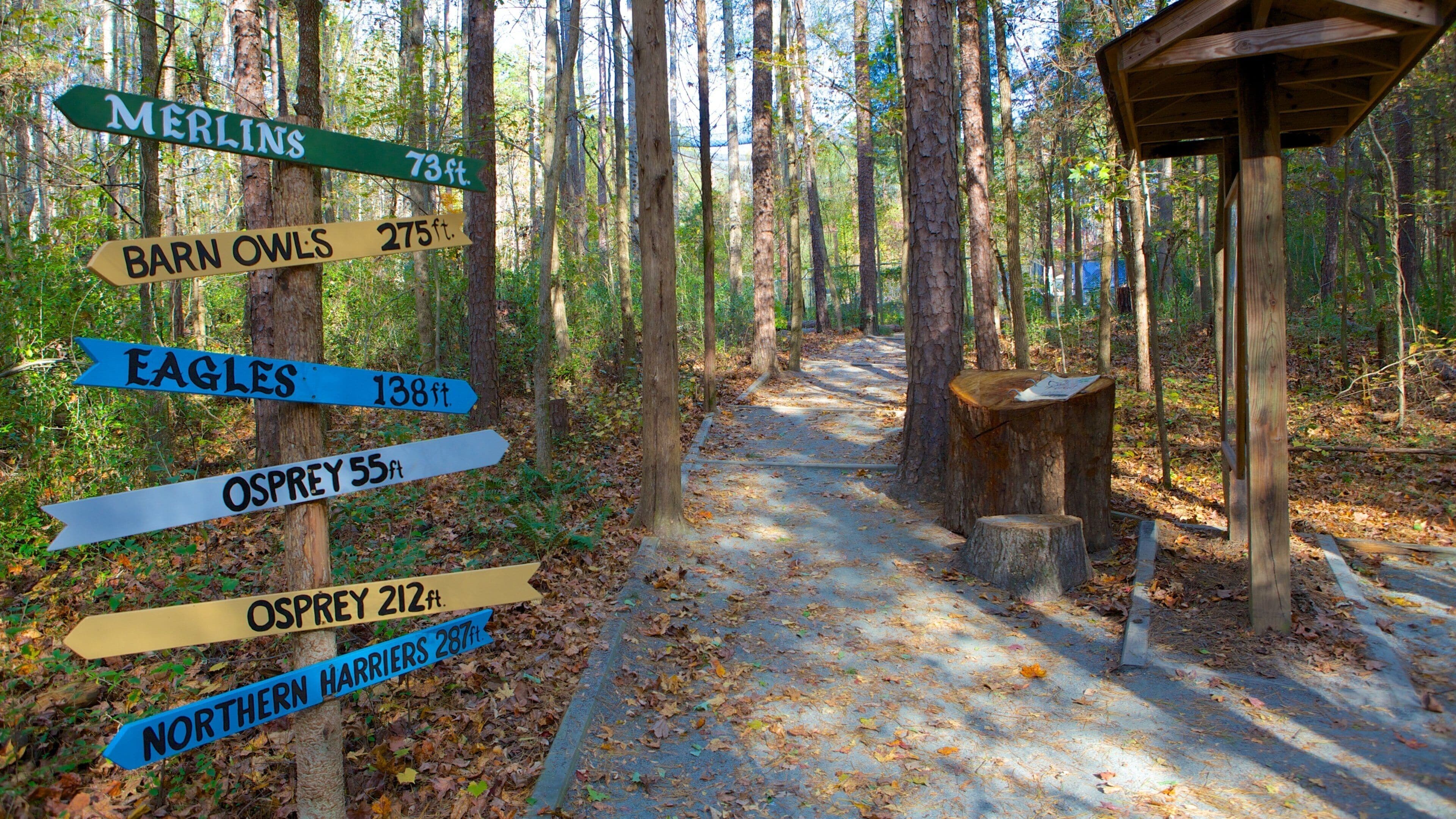 นอร์ทแคโรไลนา เนื้อเรื่องที่ ทิวทัศน์ป่า และ ป้าย