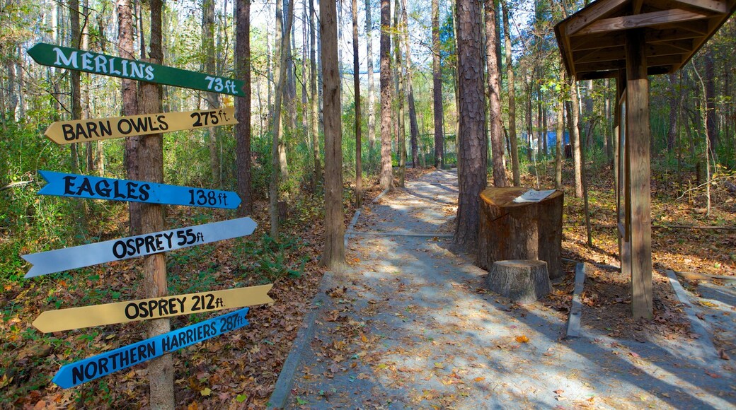 นอร์ทแคโรไลนา เนื้อเรื่องที่ ทิวทัศน์ป่า และ ป้าย