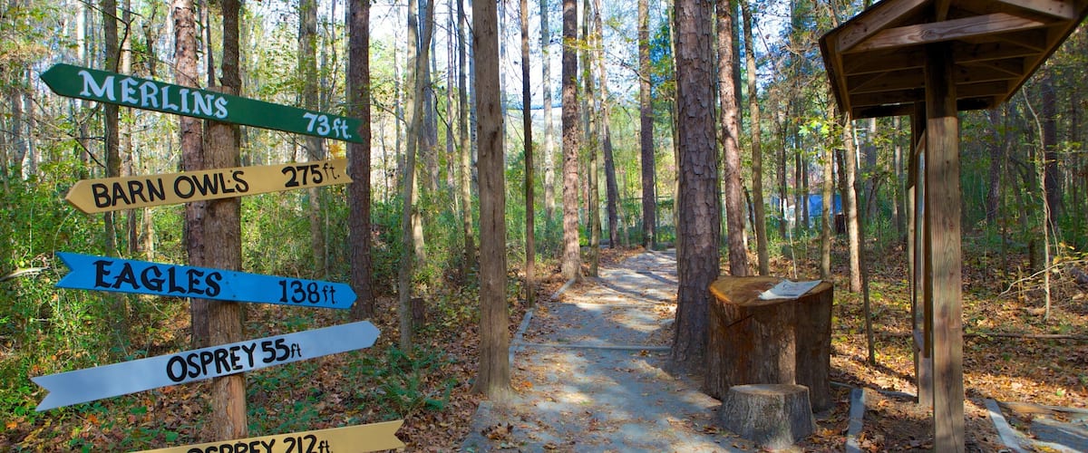 A forest trail with directional signs indicating distances to various locations like Merlins, Barn Owls, Eagles, Osprey, and Northern Harriers.