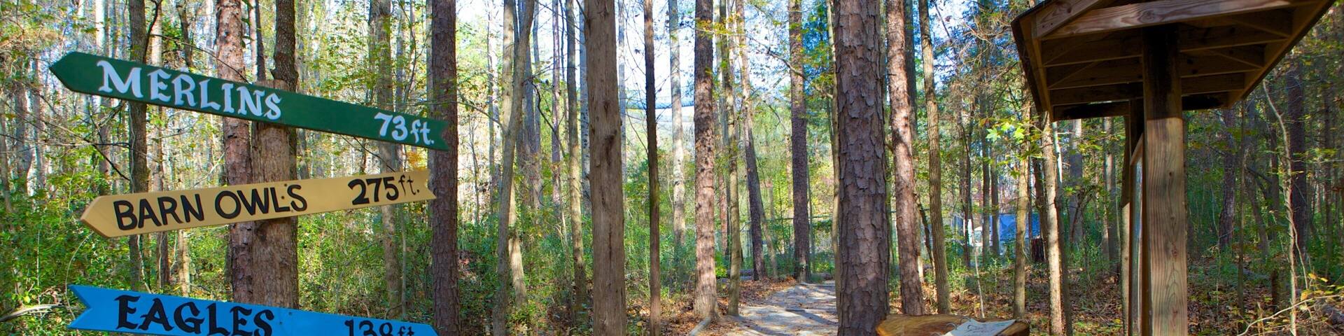 North Carolina showing signage and forest scenes