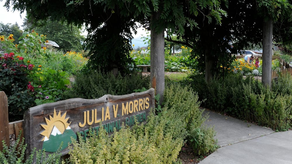A wooden sign with 'Julia Y Morris' and a sun emblem, surrounded by lush greenery and flowers.